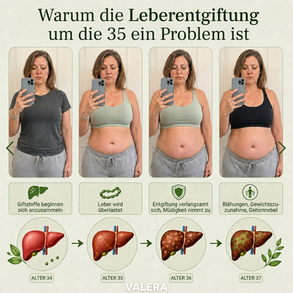 Kompletter Leber-Detox – 20:1