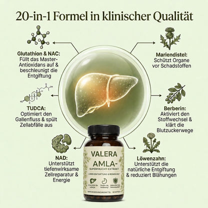 Kompletter Leber-Detox – 20:1