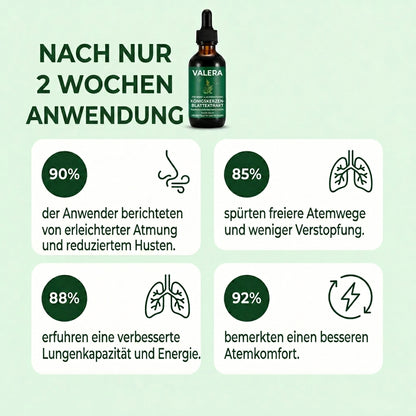 Reine Königskerzen Extrakttropfen – Lungendetoxformel