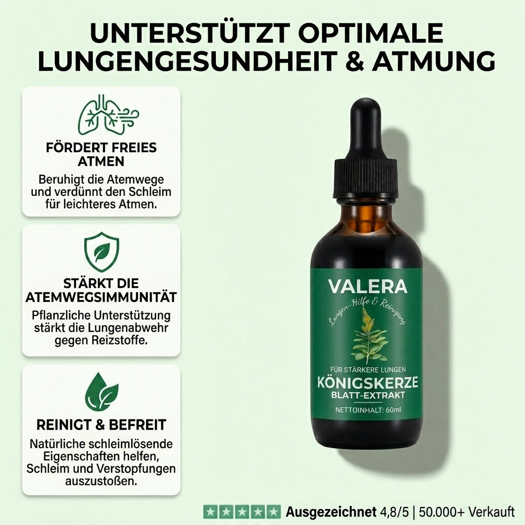 Reine Königskerzen Extrakttropfen – Lungendetoxformel