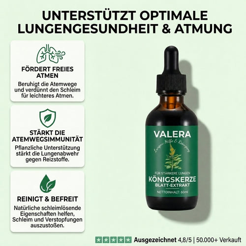 Reine Königskerzen Extrakttropfen – Lungendetoxformel