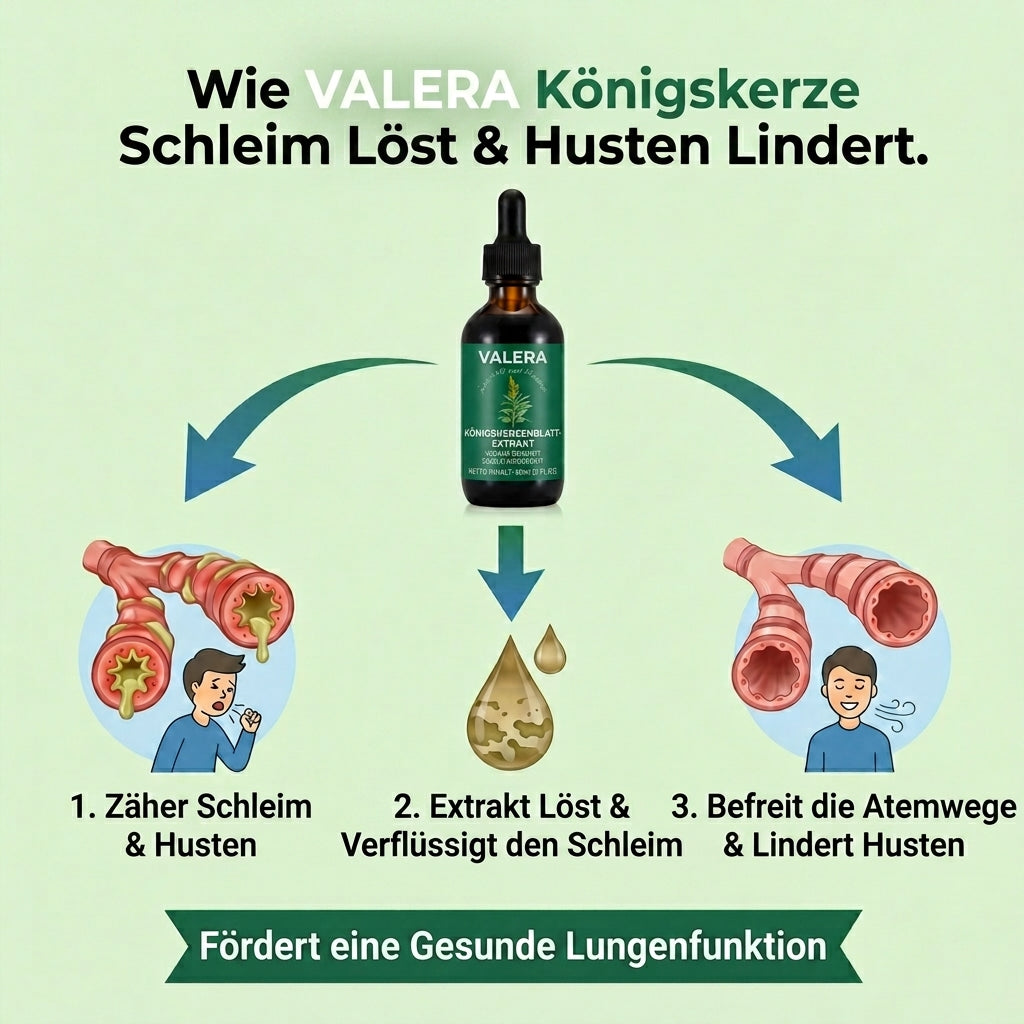 Reine Königskerzen Extrakttropfen – Lungendetoxformel