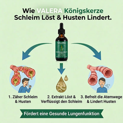 Reine Königskerzen Extrakttropfen – Lungendetoxformel