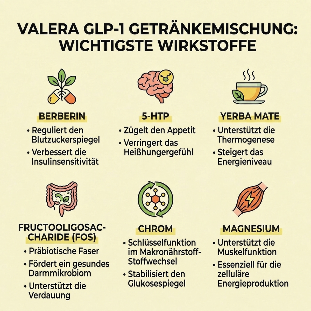 Die wichtigsten Wirkstoffe der Formel